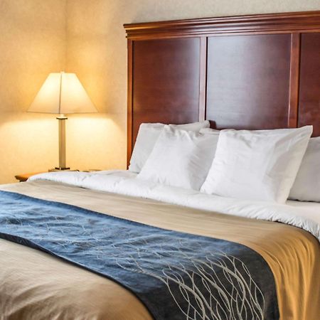 Comfort Inn & Suites Kent - University Area Luaran gambar