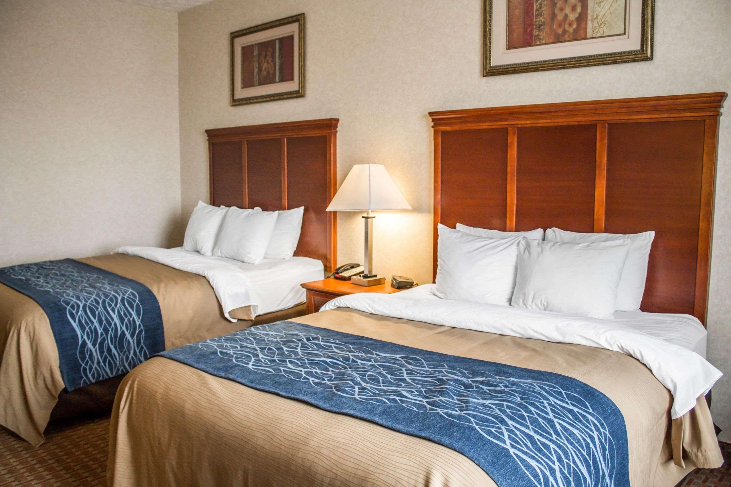 Comfort Inn & Suites Kent - University Area Luaran gambar